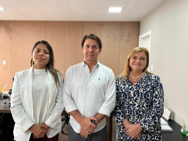 Conselhos de Enfermagem debatem piso salarial com o presidente da CCJ